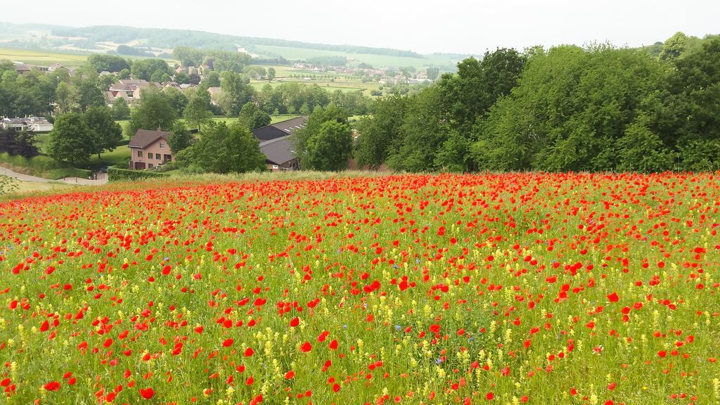 Вілла Belle - Mooi Zuid Limburg Сімпелвельт Екстер'єр фото